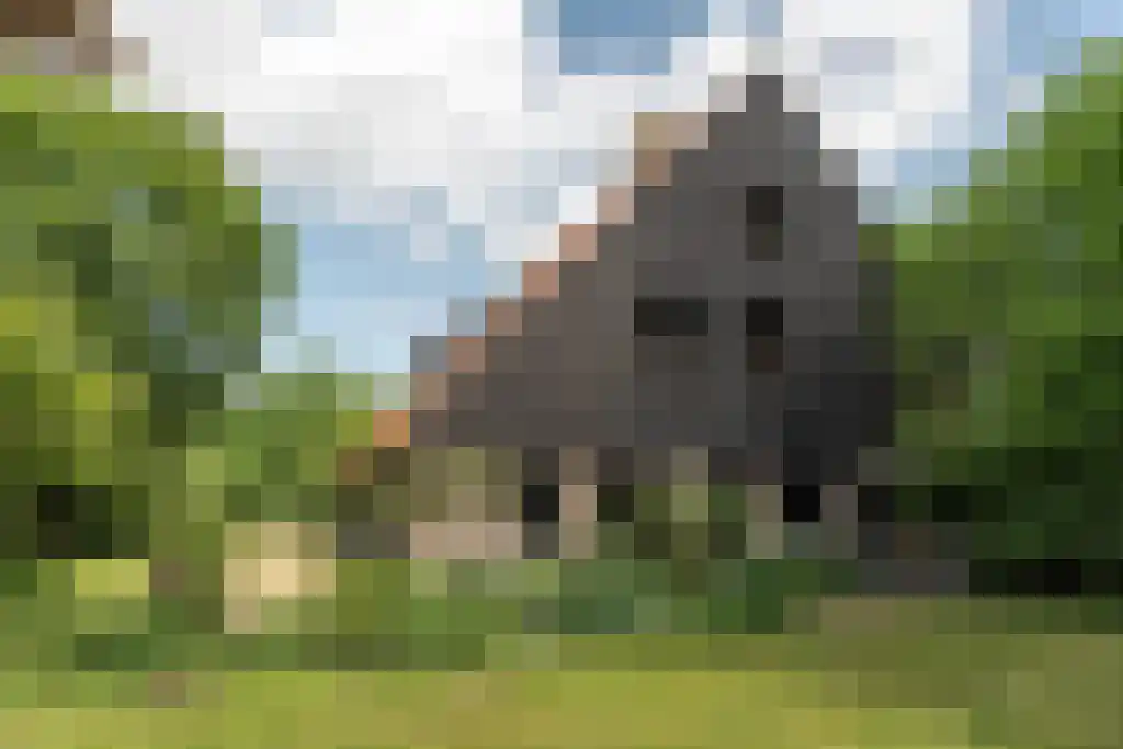 Prins Bernhardweg 29 Oranjewoud thumbnail 7