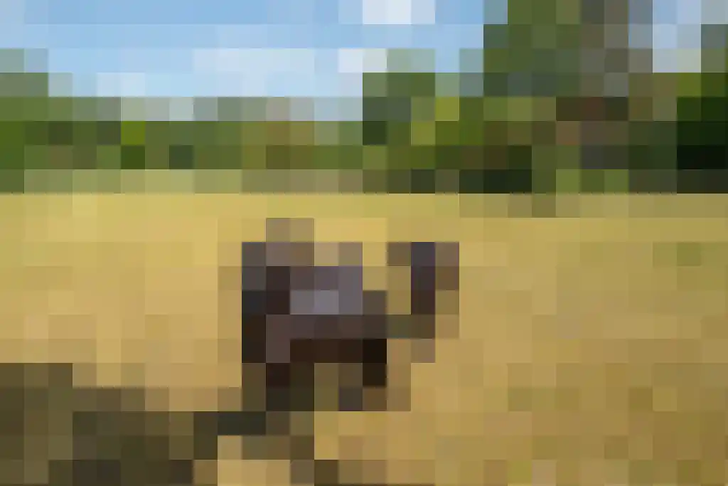 Prins Bernhardweg 29 Oranjewoud thumbnail 8