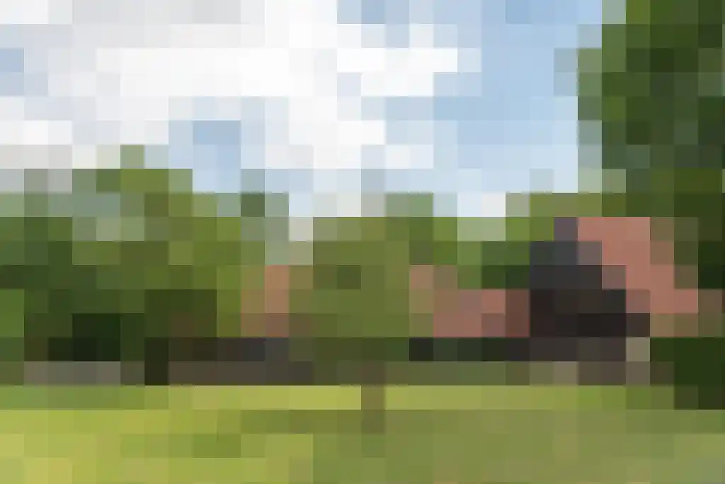 Prins Bernhardweg 29 Oranjewoud thumbnail 9