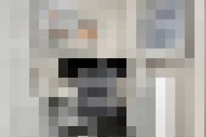 Prins Bernhardweg 67 Oranjewoud thumbnail 15