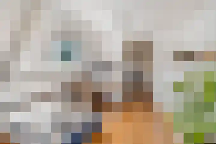 Prins Bernhardweg 67 Oranjewoud thumbnail 19