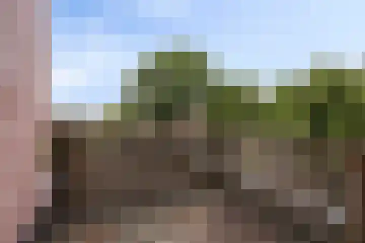 Prins Bernhardweg 67 Oranjewoud thumbnail 20