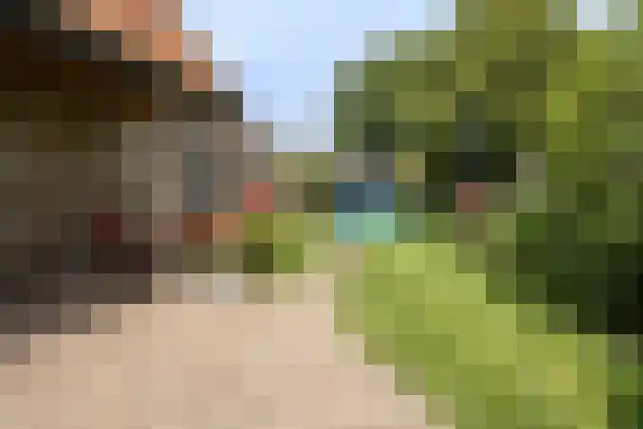 Prins Bernhardweg 67 Oranjewoud thumbnail 21