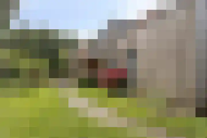 Prins Bernhardweg 67 Oranjewoud thumbnail 23