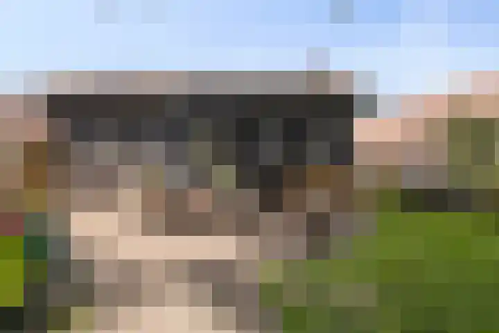 Prins Bernhardweg 67 Oranjewoud thumbnail 24