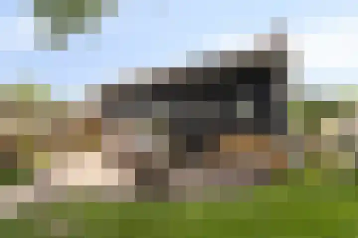 Prins Bernhardweg 67 Oranjewoud thumbnail 25