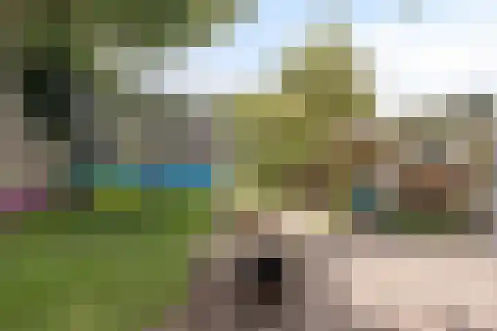 Prins Bernhardweg 67 Oranjewoud thumbnail 27