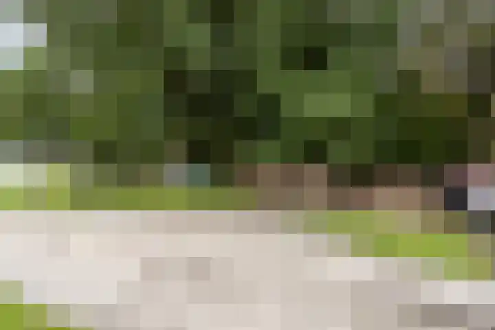 Prins Bernhardweg 67 Oranjewoud thumbnail 28