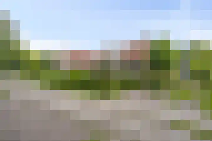 Prins Bernhardweg 67 Oranjewoud thumbnail 29