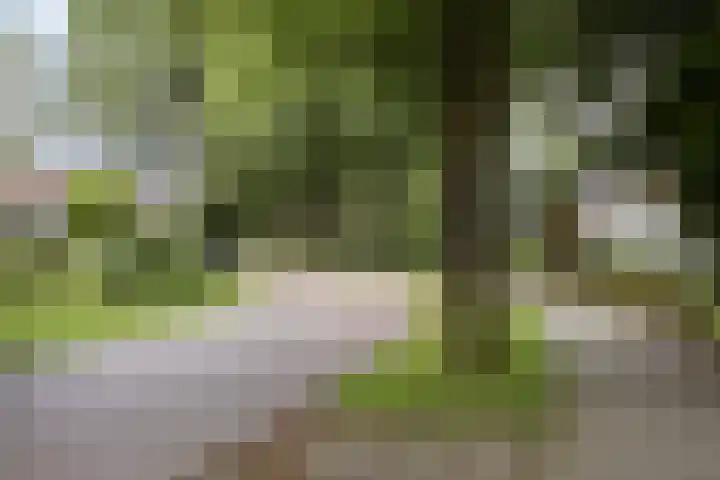 Prins Bernhardweg 67 Oranjewoud thumbnail 31