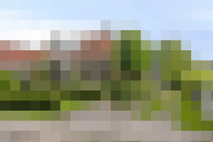 Prins Bernhardweg 67 Oranjewoud thumbnail 38