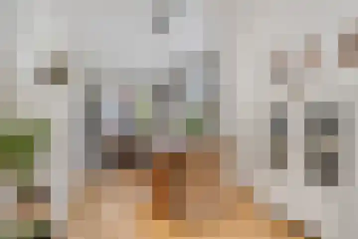 Prins Bernhardweg 67 Oranjewoud thumbnail 4