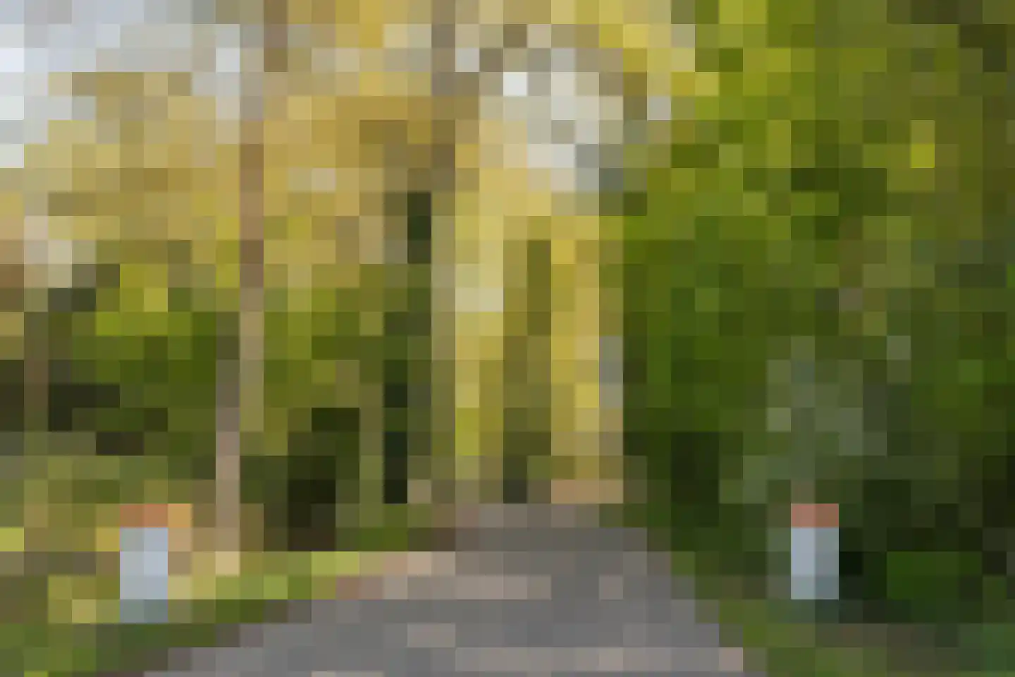 Prins Bernhardweg 73 Oranjewoud thumbnail 40