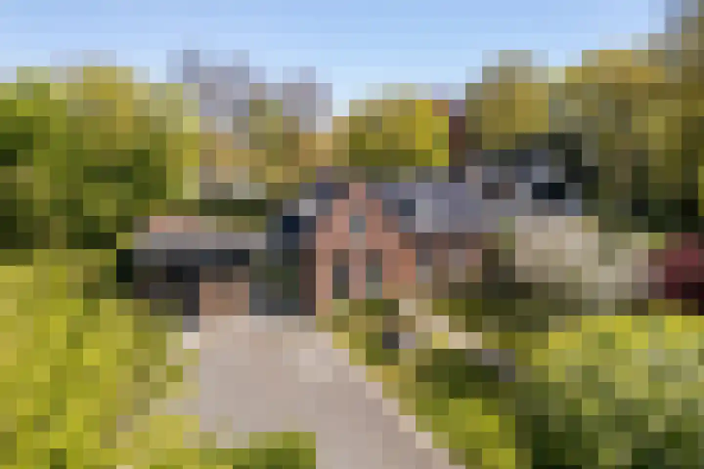 Prins Bernhardweg 73 Oranjewoud thumbnail 6