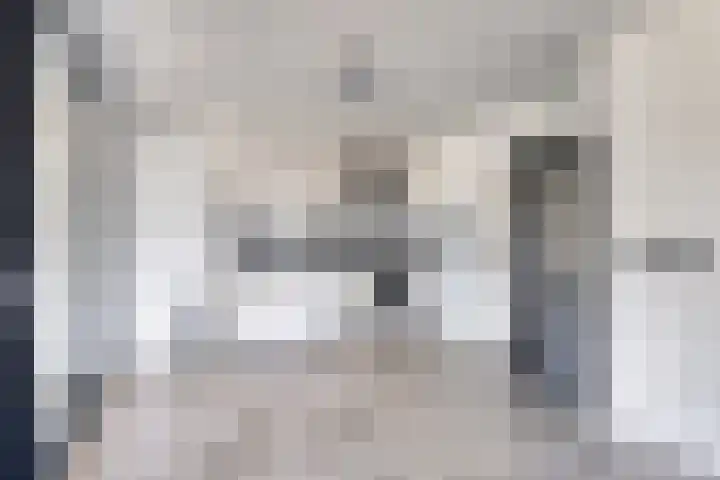 Prins Bisschoplaan 9 Horn thumbnail 15