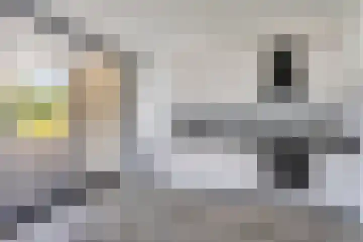 Prins Bisschoplaan 9 Horn thumbnail 16