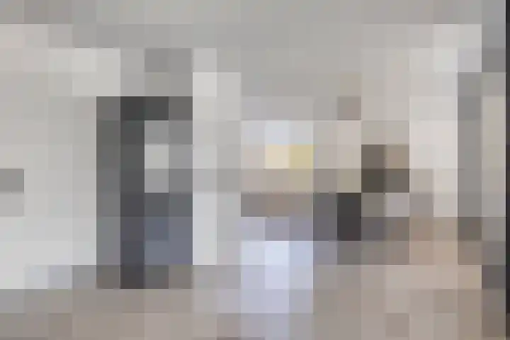 Prins Bisschoplaan 9 Horn thumbnail 17
