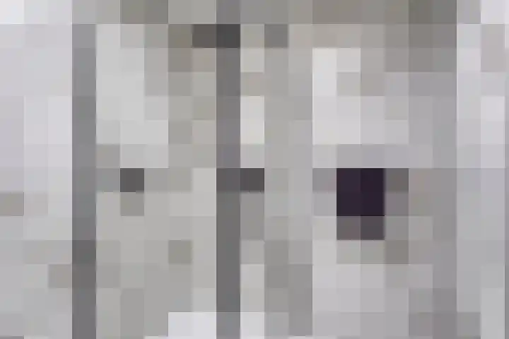 Prins Bisschoplaan 9 Horn thumbnail 28