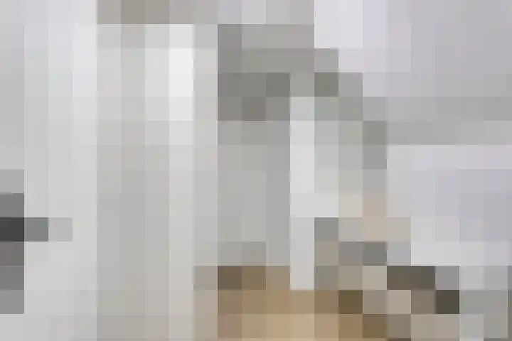 Prins Bisschoplaan 9 Horn thumbnail 33