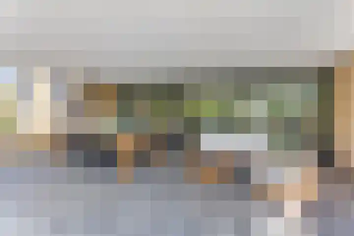 Prins Bisschoplaan 9 Horn thumbnail 36