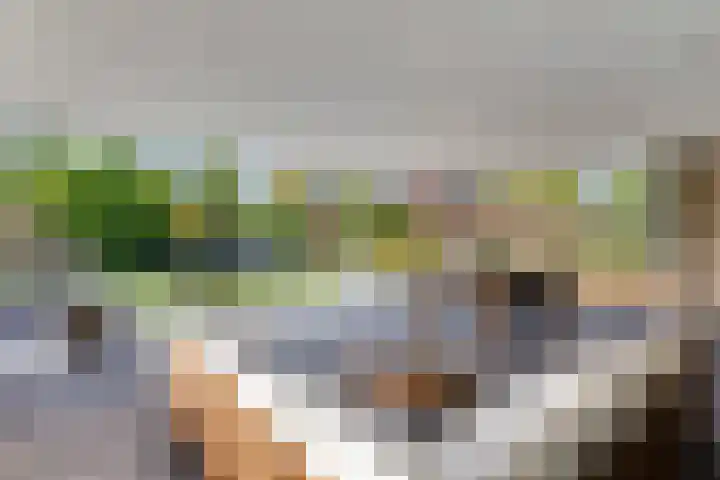 Prins Bisschoplaan 9 Horn thumbnail 37