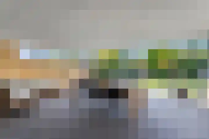 Prins Bisschoplaan 9 Horn thumbnail 38