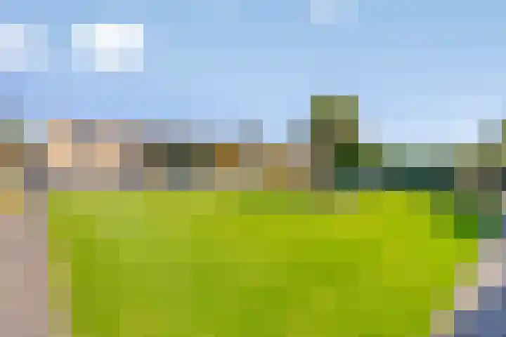 Prins Bisschoplaan 9 Horn thumbnail 42