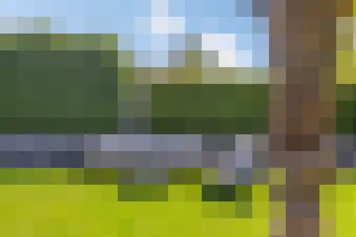 Prins Bisschoplaan 9 Horn thumbnail 45
