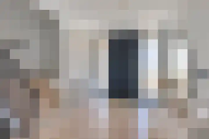 Prins Bisschoplaan 9 Horn thumbnail 7