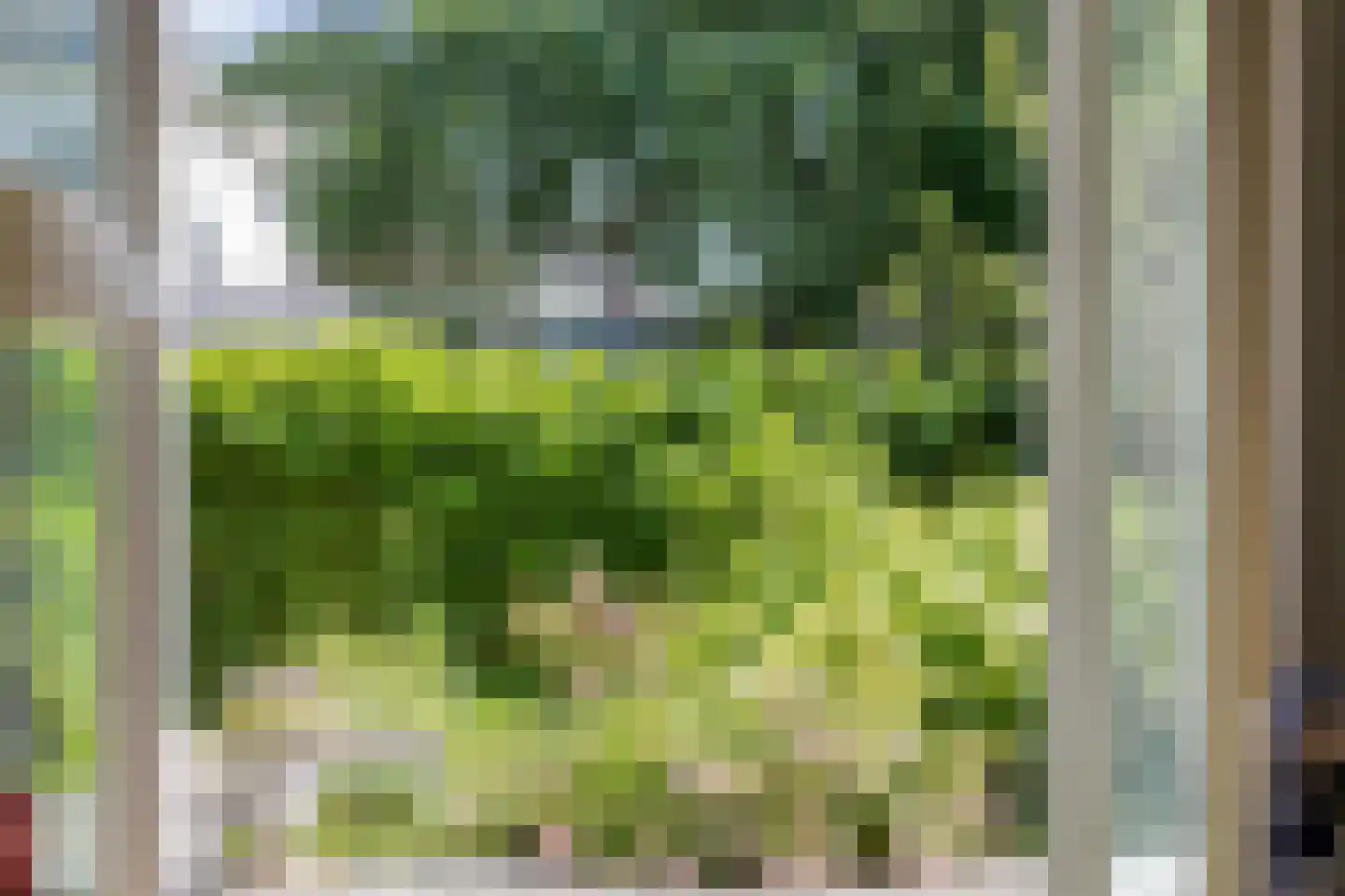 Prins Bisschopsingel 1 C 01 Maastricht thumbnail 18