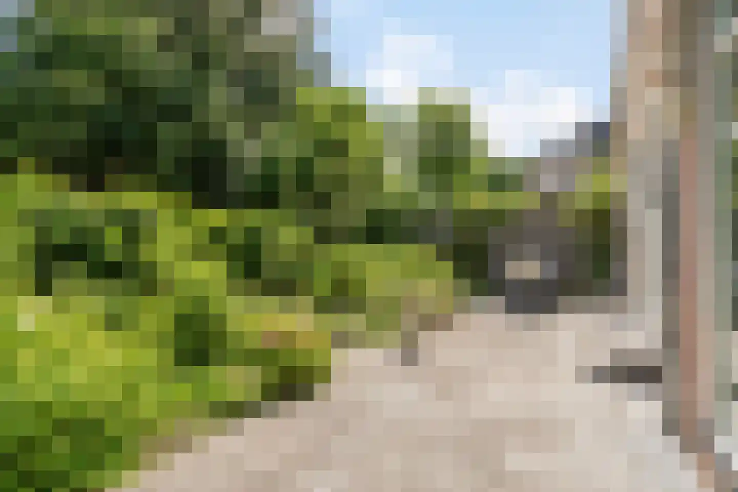 Prins Bisschopsingel 1 C 01 Maastricht thumbnail 20