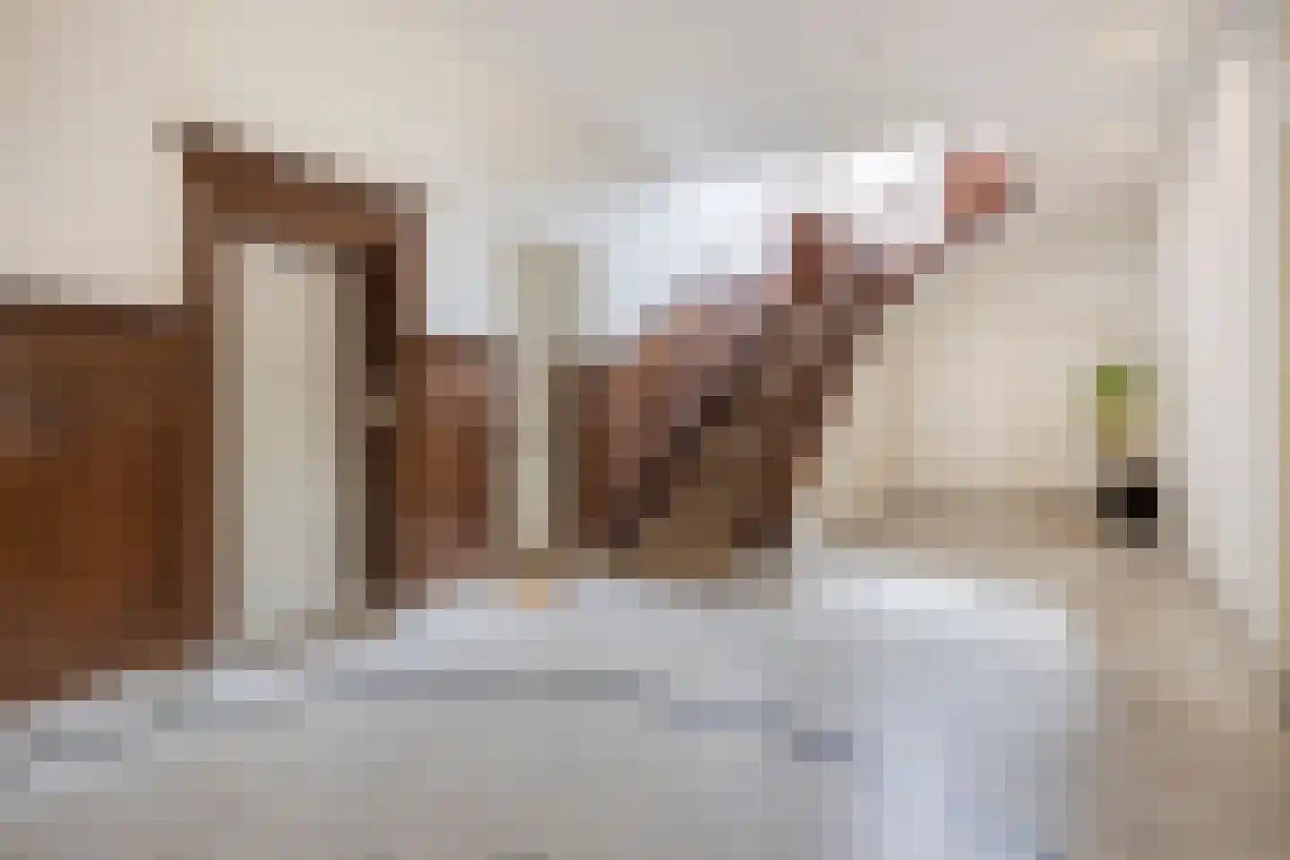 Prins Bisschopsingel 1 C 01 Maastricht thumbnail 25