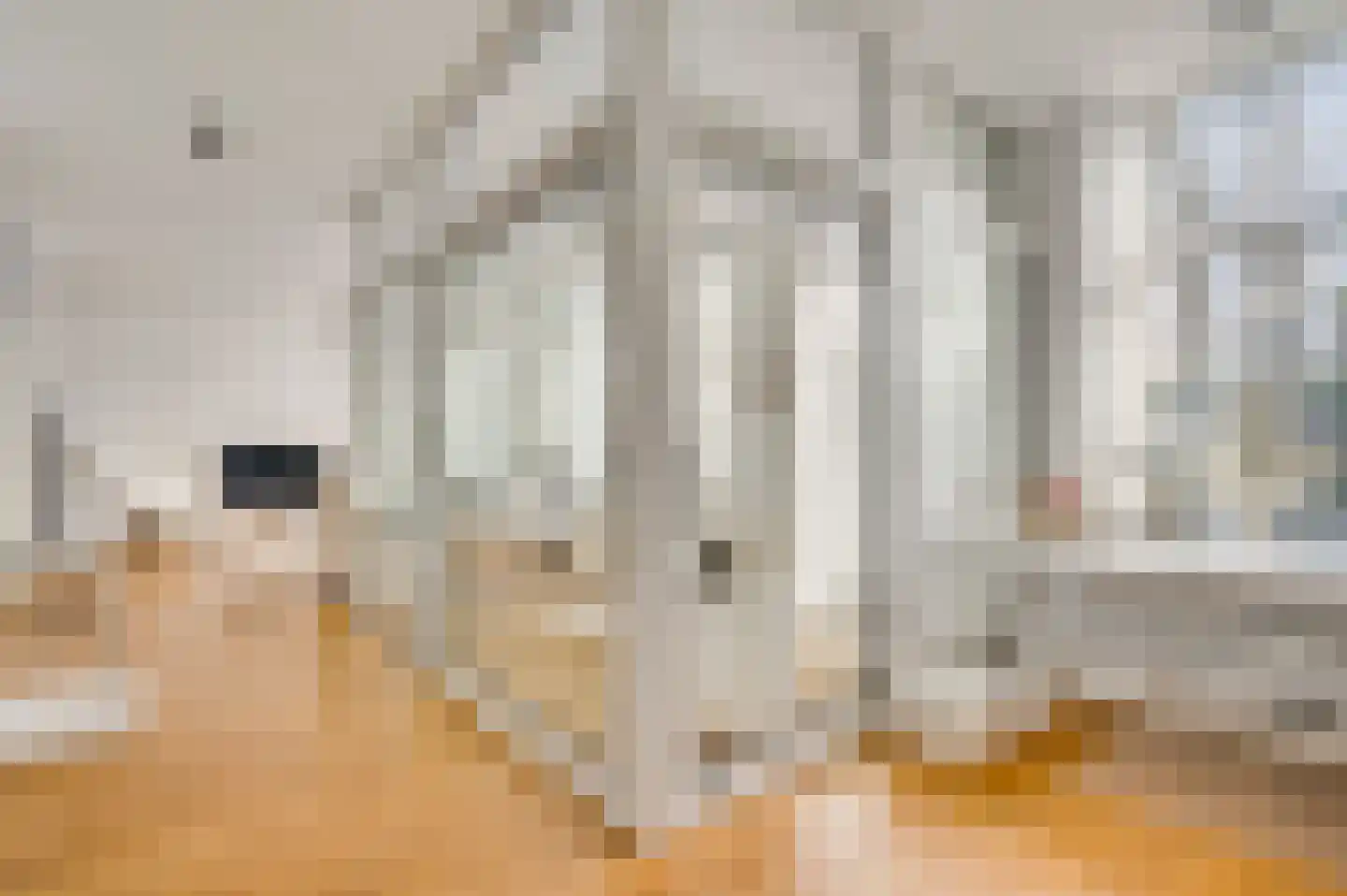 Prins Bisschopsingel 2 02 Maastricht thumbnail 17