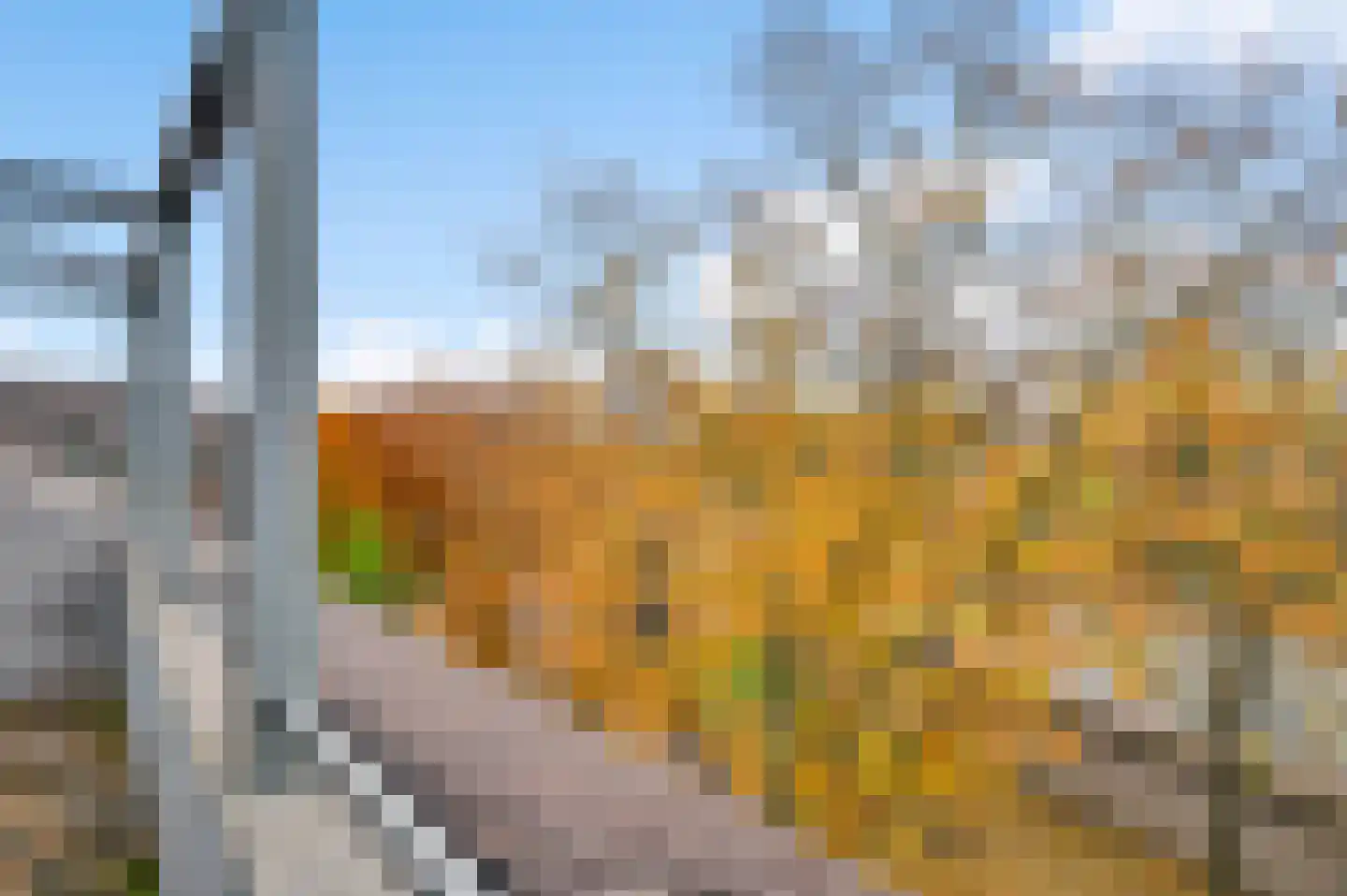 Prins Bisschopsingel 2 D 01 Maastricht thumbnail 23
