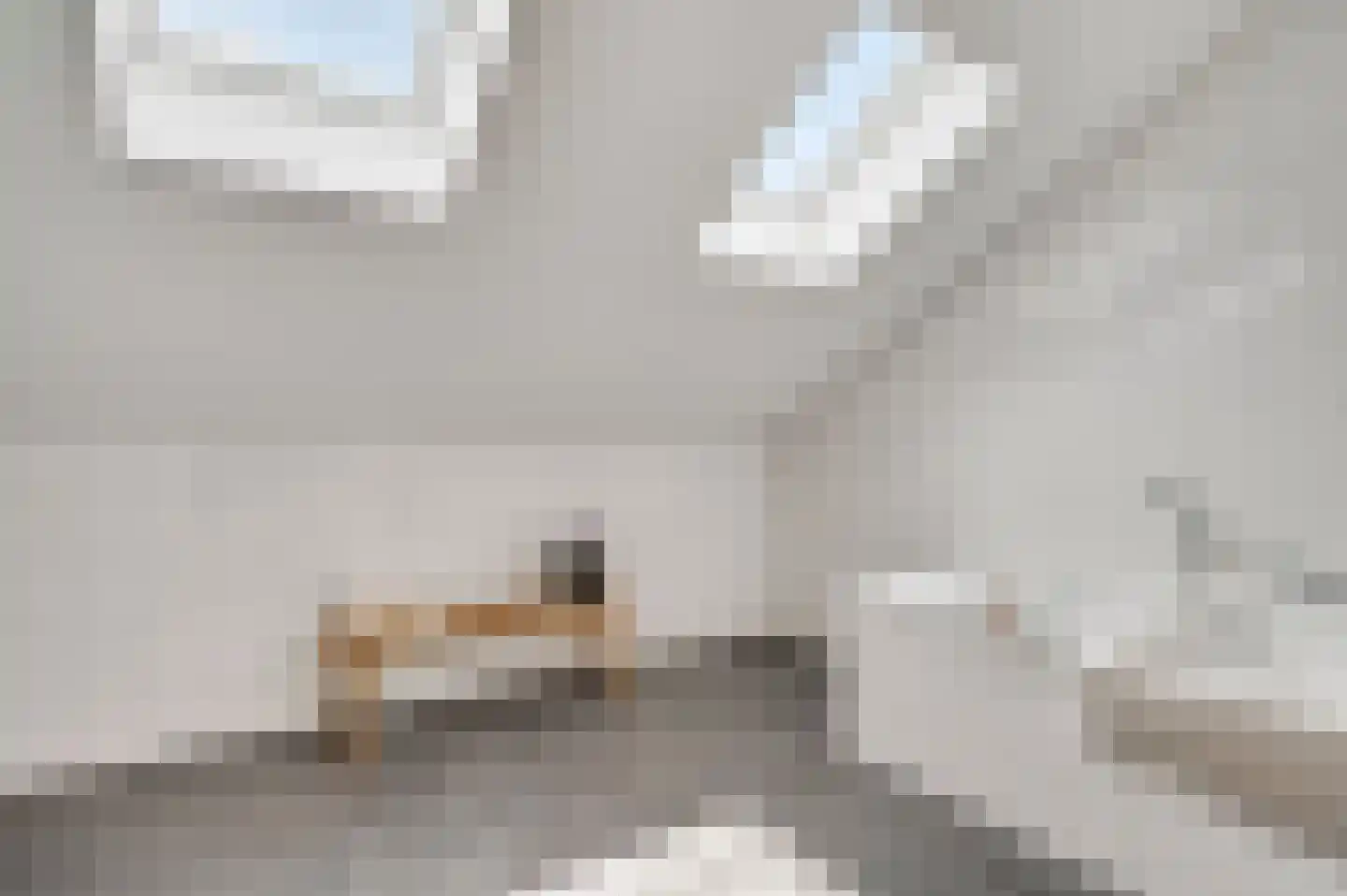 Prins Bisschopsingel 2 D 01 Maastricht thumbnail 32