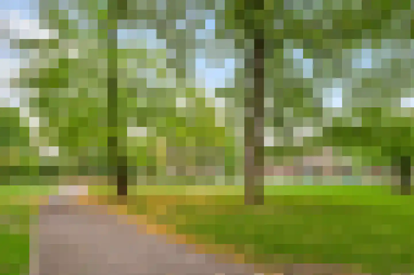 Prins Bisschopsingel 2 D 01 Maastricht thumbnail 44