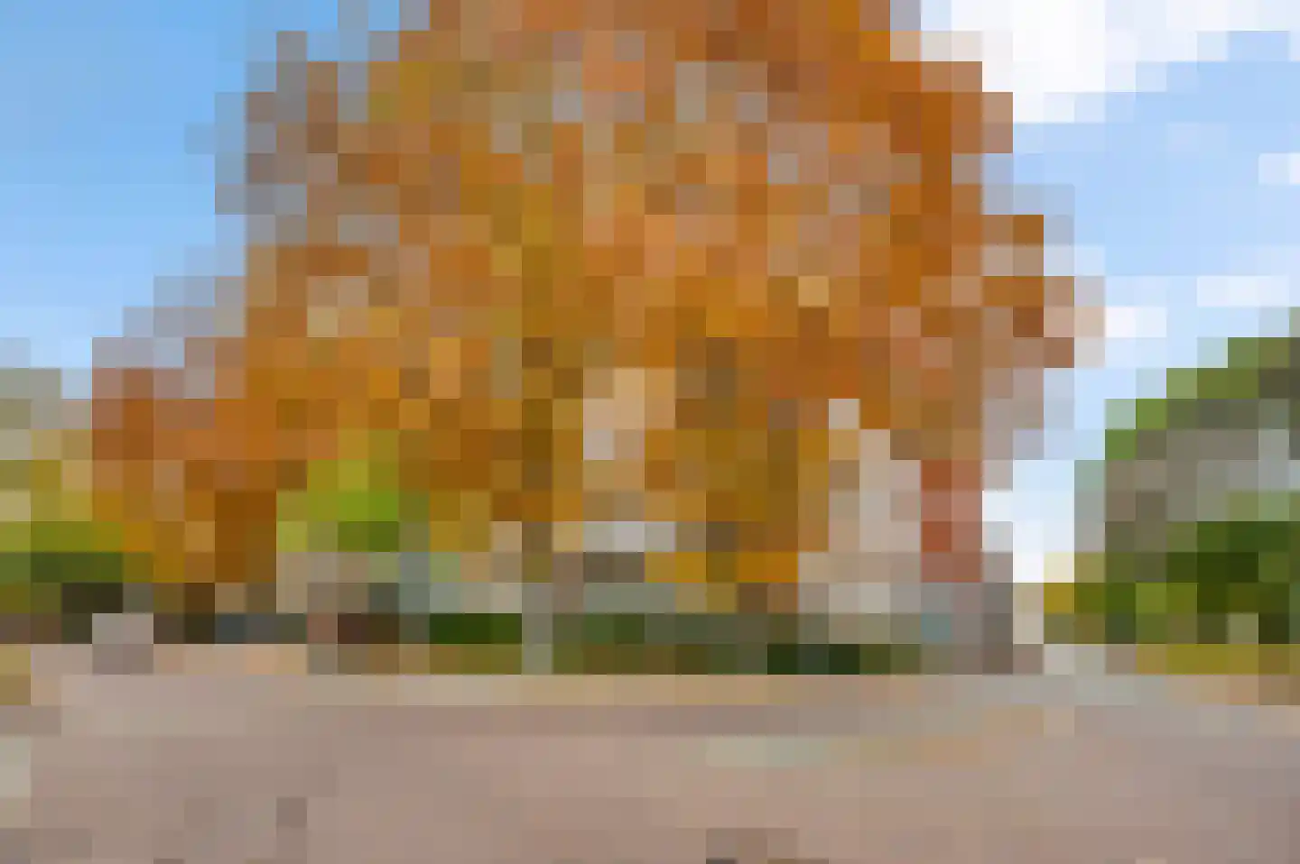 Prins Bisschopsingel 2 D 01 Maastricht thumbnail 5