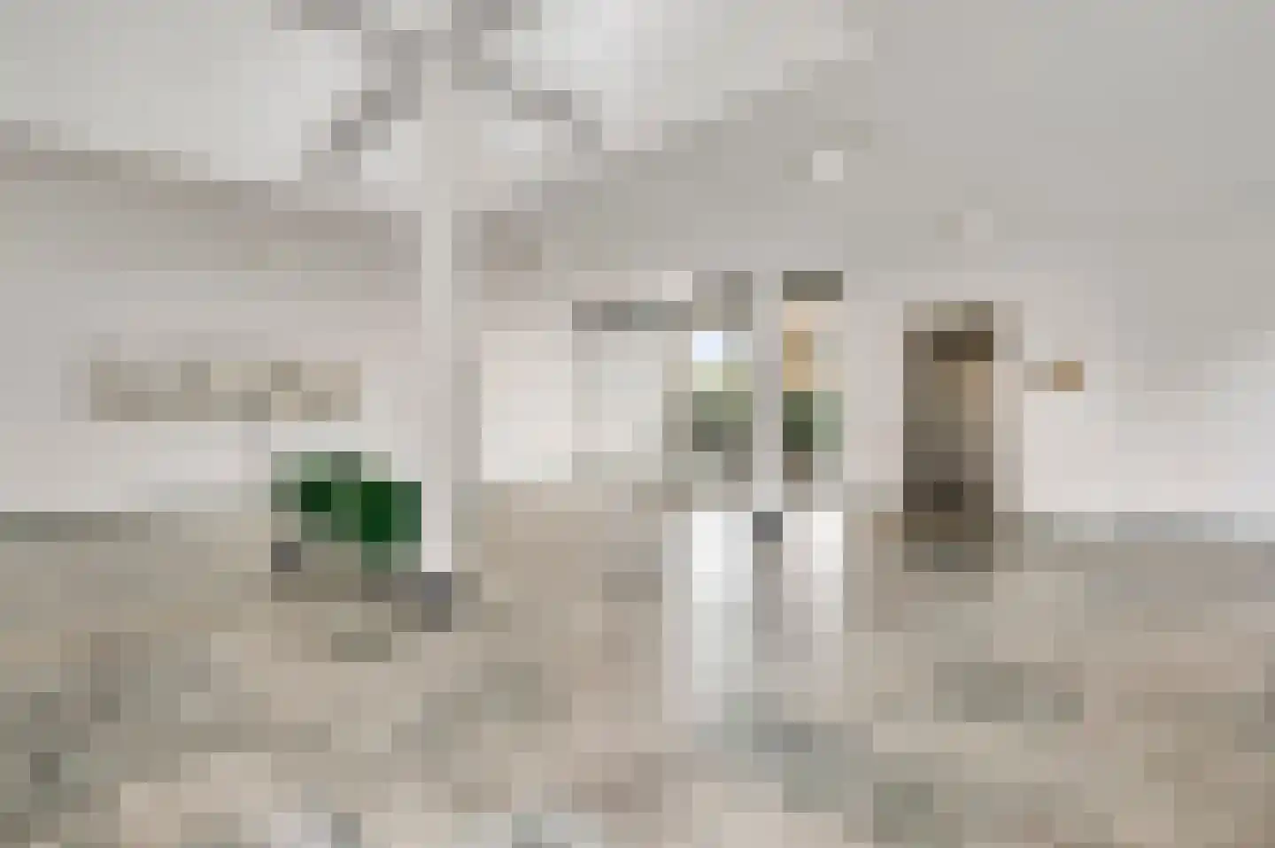 Prins Bisschopsingel 2 D 01 Maastricht thumbnail 8