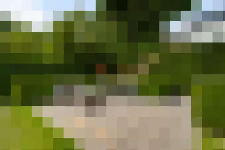 Prins Bisschopsingel 2 D 02 Maastricht thumbnail 18