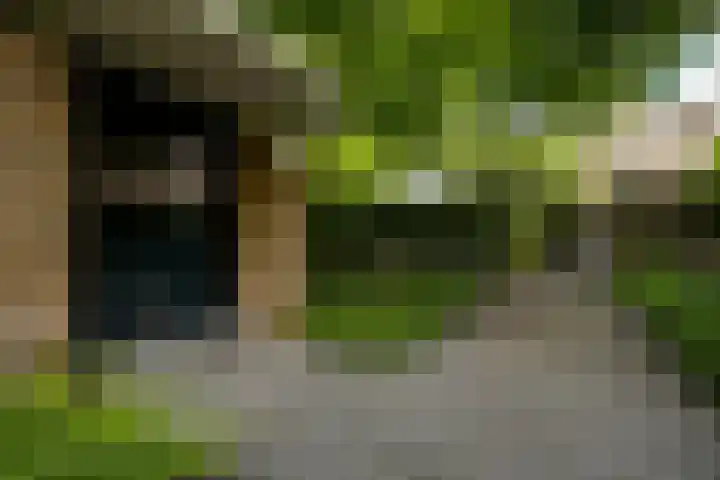 Prins Bisschopsingel 2 D 02 Maastricht thumbnail 20