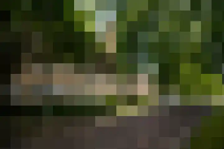 Prins Bisschopsingel 2 D 02 Maastricht thumbnail 5