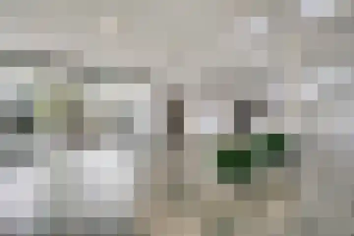 Prins Bisschopsingel 2 D 02 Maastricht thumbnail 8