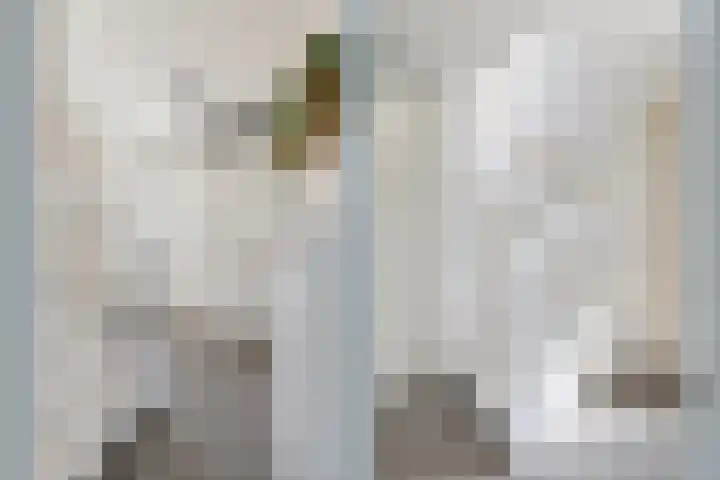 Prins Clausdreef 7 Langbroek thumbnail 11