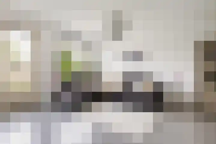 Prins Clausdreef 7 Langbroek thumbnail 14
