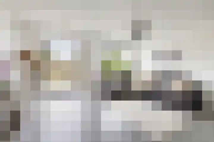 Prins Clausdreef 7 Langbroek thumbnail 15