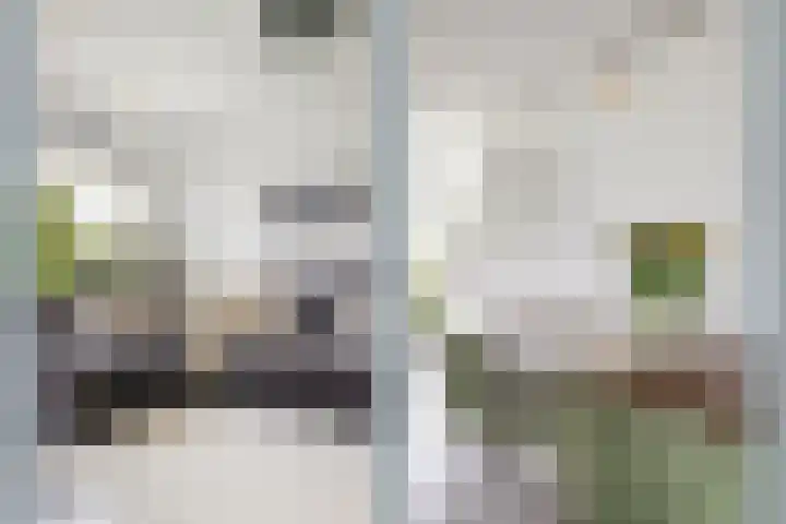 Prins Clausdreef 7 Langbroek thumbnail 16