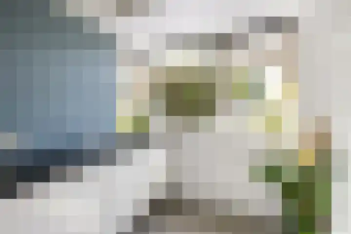 Prins Clausdreef 7 Langbroek thumbnail 21