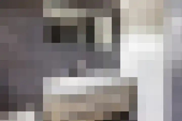 Prins Clausdreef 7 Langbroek thumbnail 36