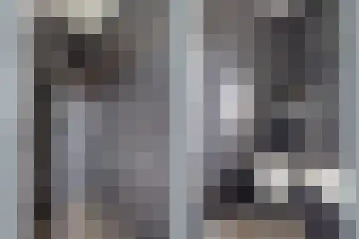 Prins Clausdreef 7 Langbroek thumbnail 37