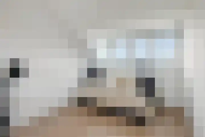 Prins Clausdreef 7 Langbroek thumbnail 42